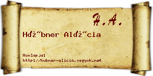 Hübner Alícia névjegykártya